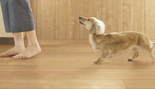 ペット対応フローリング